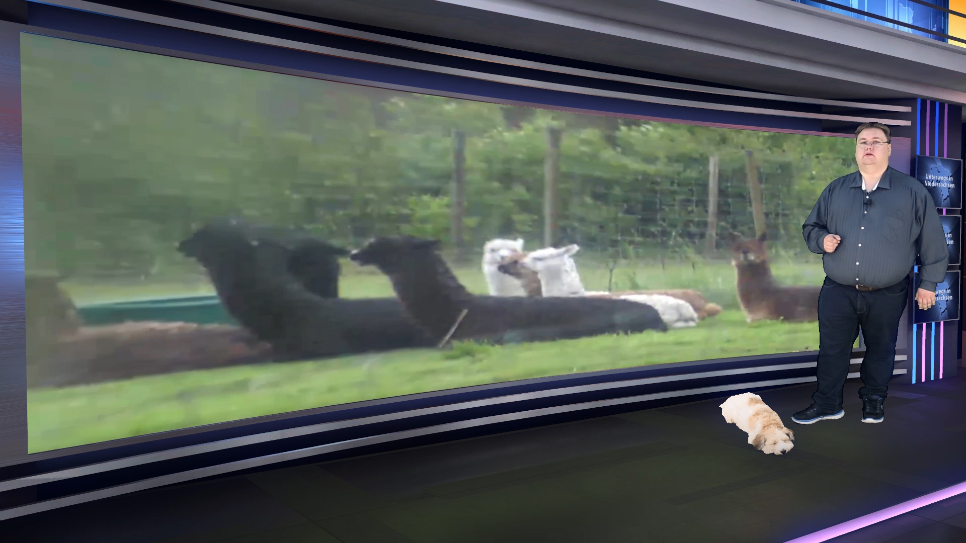 Folge 1 vom 31.05.2010