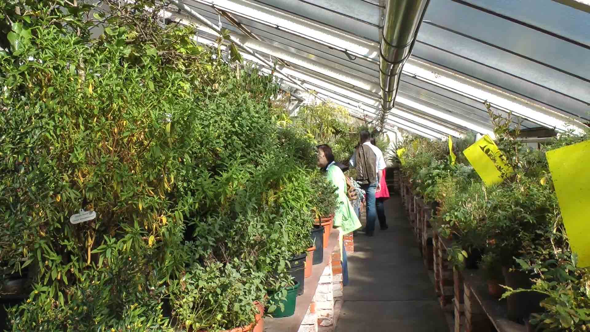 Alter botanischer Garten